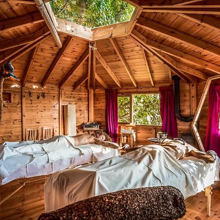 Spa In The Woods - B&B In Amirim Extérieur photo